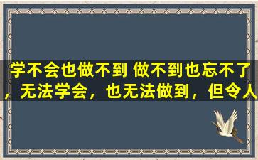 学不会也做不到 做不到也忘不了，无法学会，也无法做到，但令人难忘